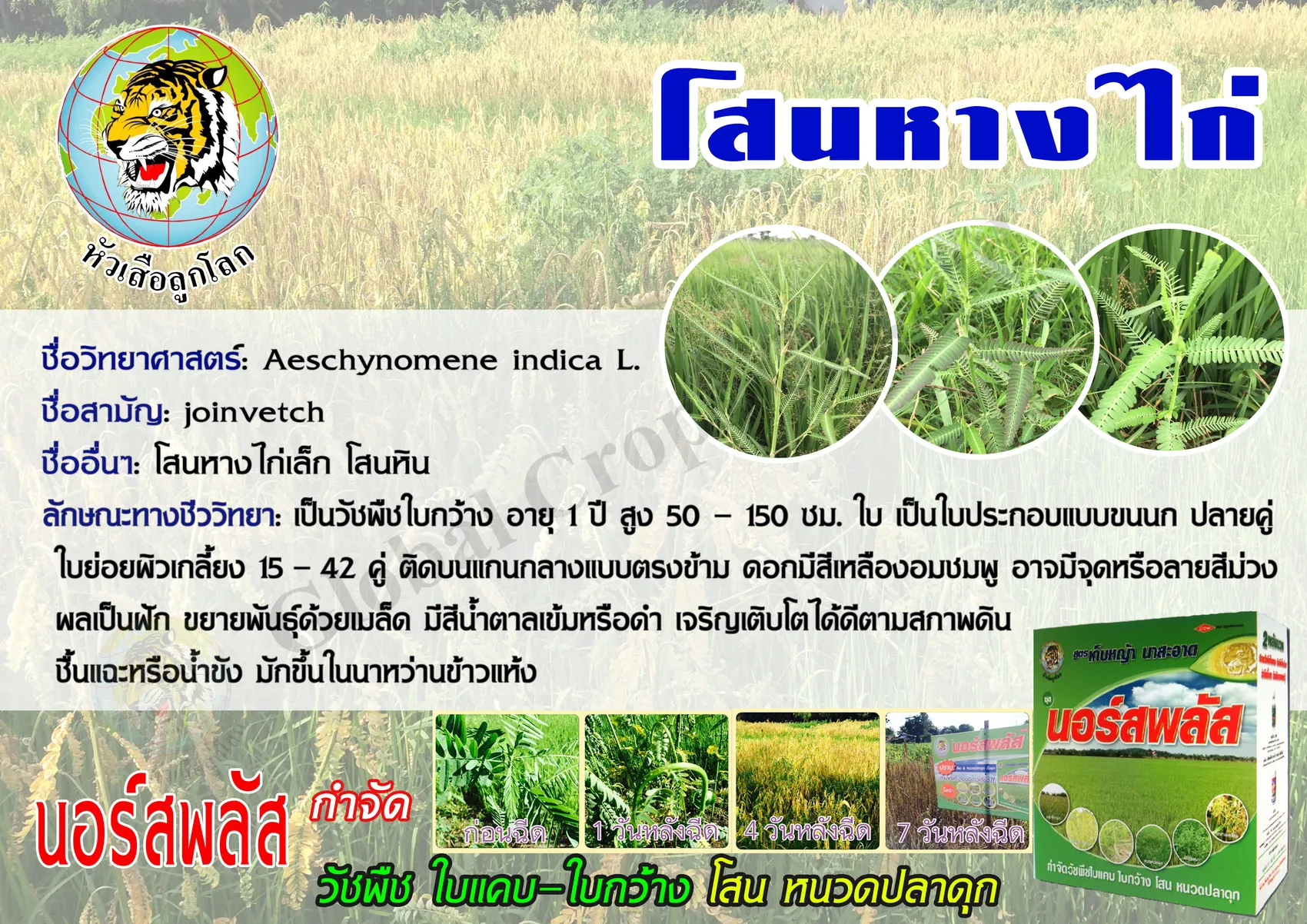 iTopPlus903444325369