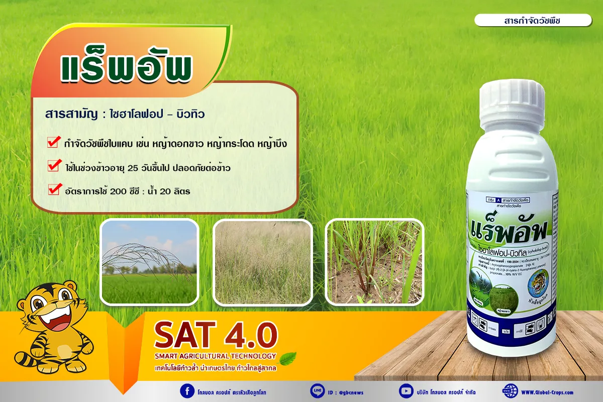 กรอบ2