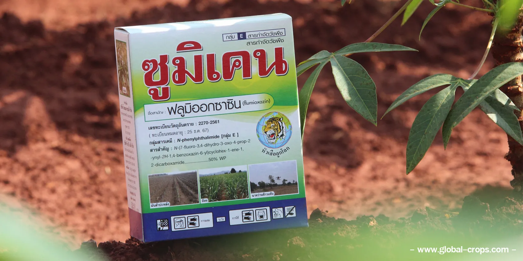 ภาพมัน22000X1000