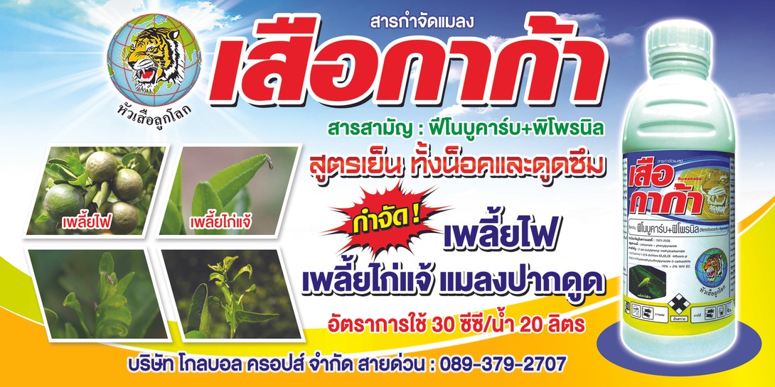 เสือกาก้าในส้ม100x200cm