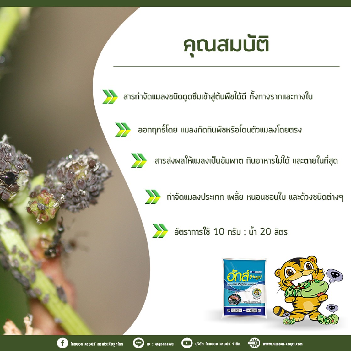 1ต่อ1-2