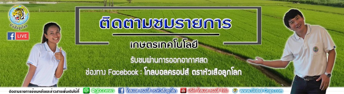 iTopPlus1225065328043