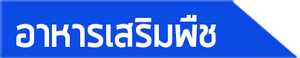 iTopPlus62361701794