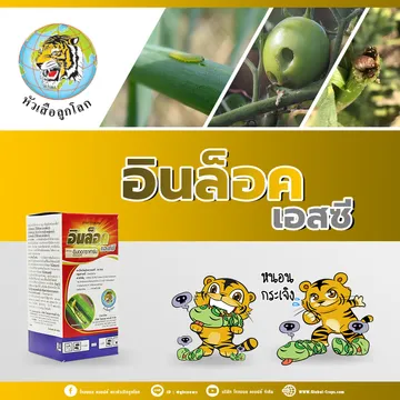 1-ต่อ-1--1V2