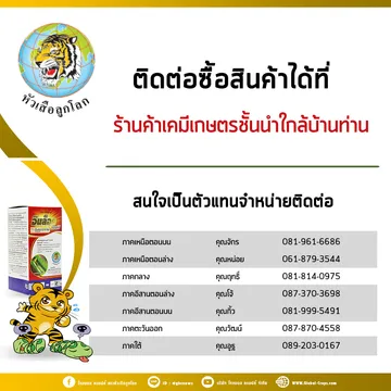 1-ต่อ-1--4