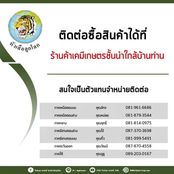 1ต่อ1-4