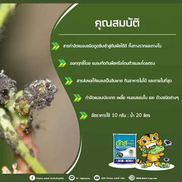 1ต่อ1V2-3