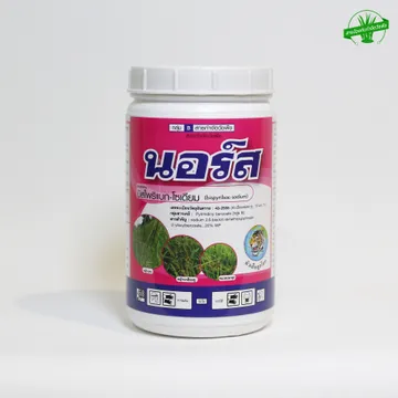 นอร์สW-1