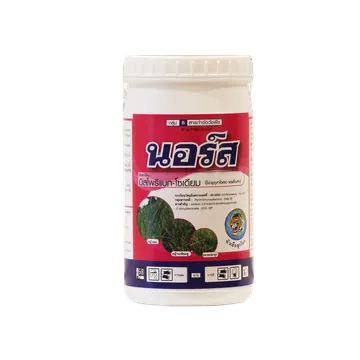 นอร์สภาพ