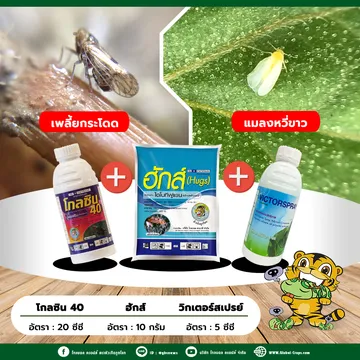 นี้ก็เด็ด2
