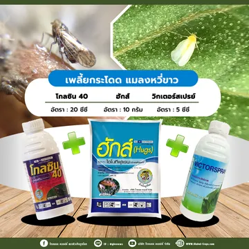 นี้ก็เด็ด