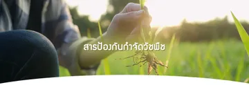 วัชพืช