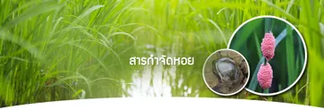 สารกำจัดหอย