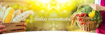 อาหารเสริมพืช