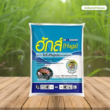 ฮักส์ภาพสินค้า2000x2000
