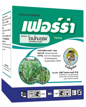 iTopPlus179010765816