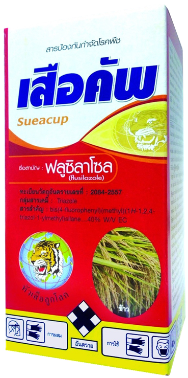 iTopPlus437000331150