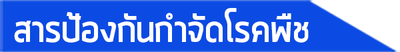 iTopPlus872240391616