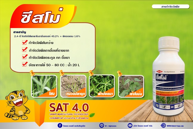 ซีสโม่2