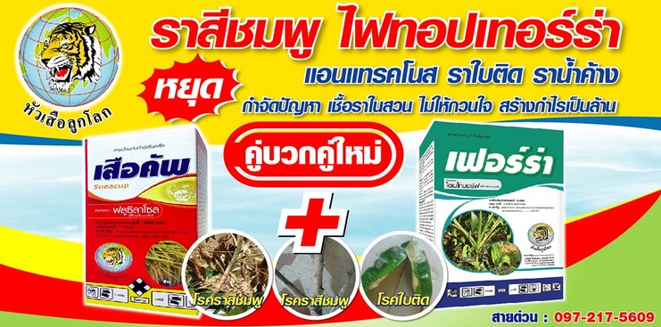 iTopPlus648224202225