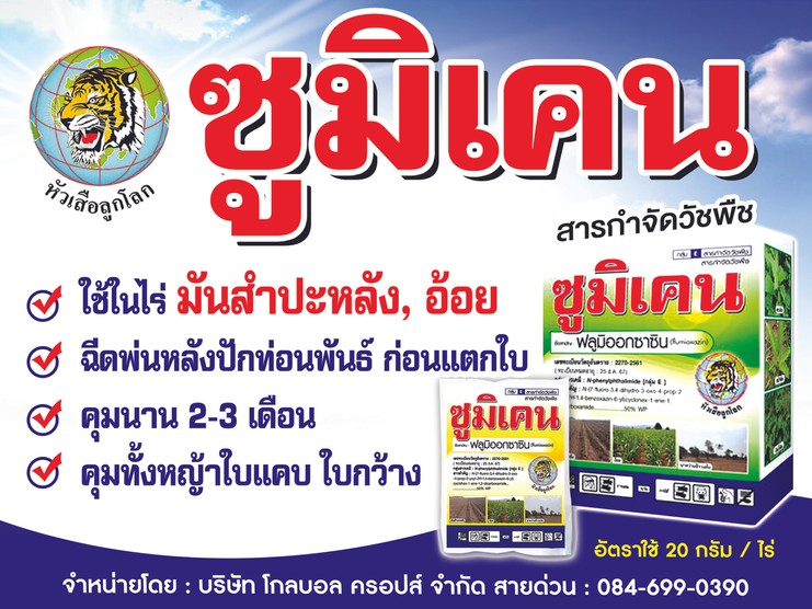 ซูมิเคน60x80cm