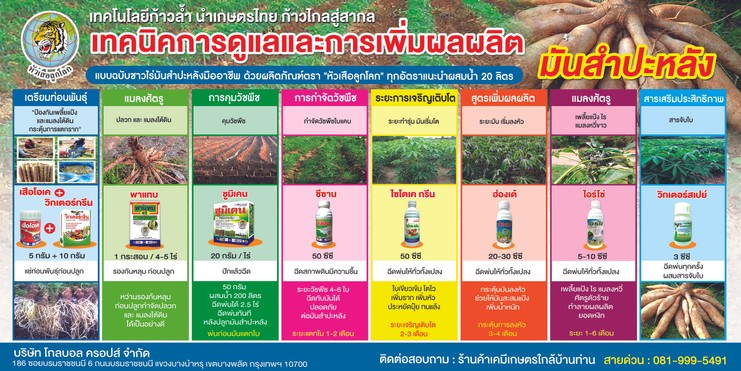 ป้ายมันสำปะหลัง200x100cmเทียบ