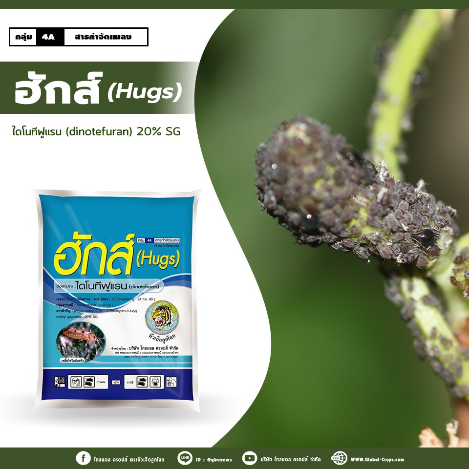 1ต่อ1-1