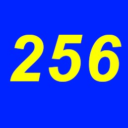 256