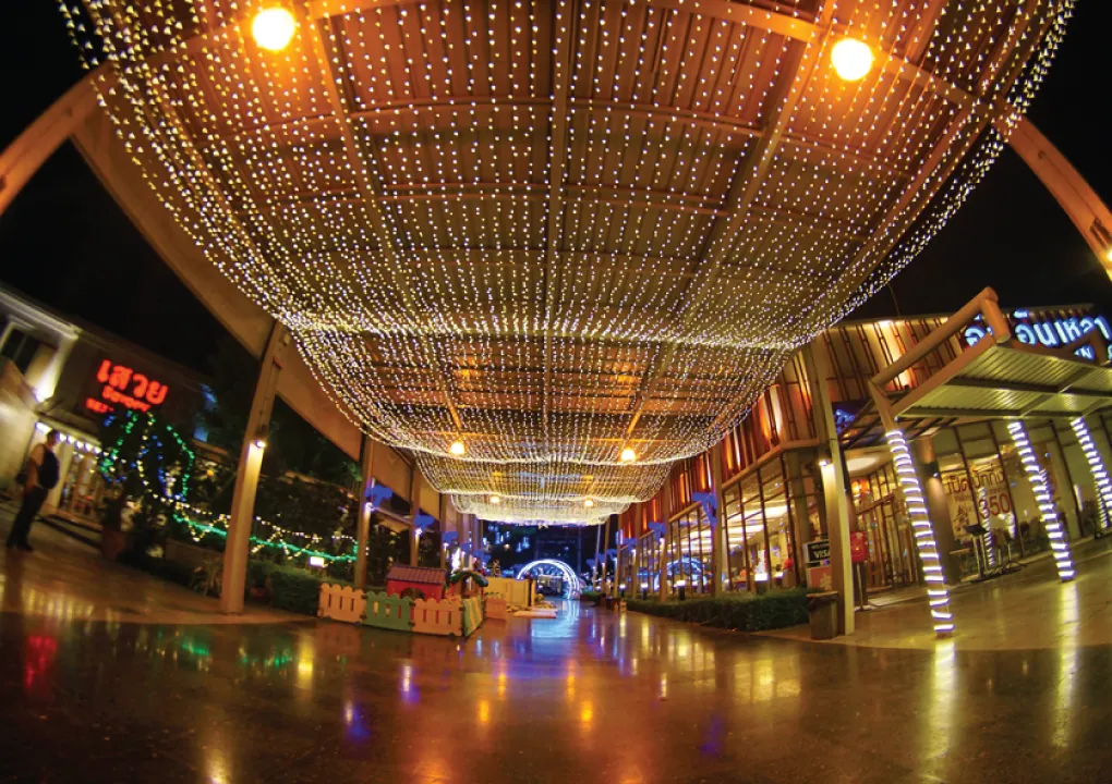 DSC06490w