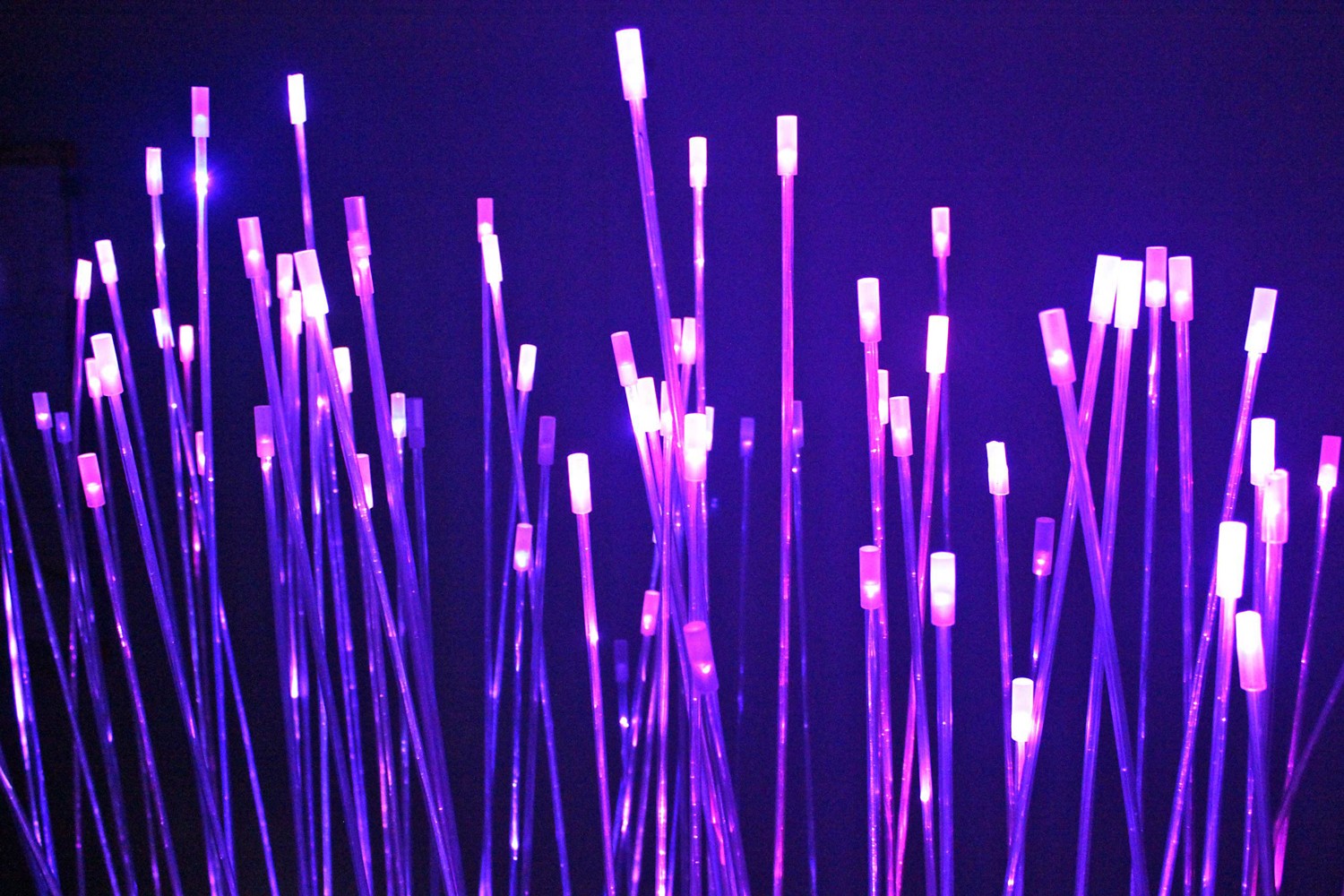 Fiber Optic Lighting