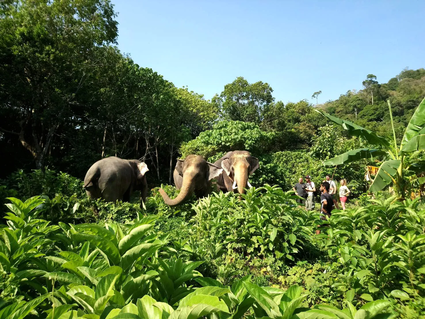 59806