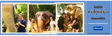 ELEPHANTPROGRAMA