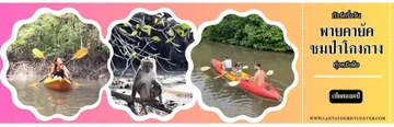 MANGROVEBYKAYAKING