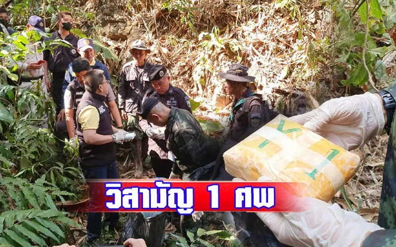 1710151644018