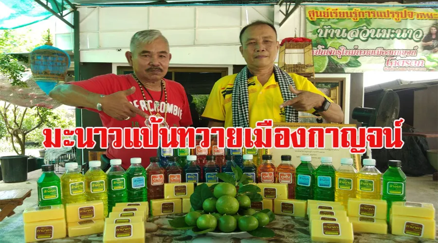 เช ญชมบ านสวนมะนาวแป นทวายเม องกาญจน พ นธ โคตรดก ศ นย เร ยนร เกษตรทฤษฎ ใหม