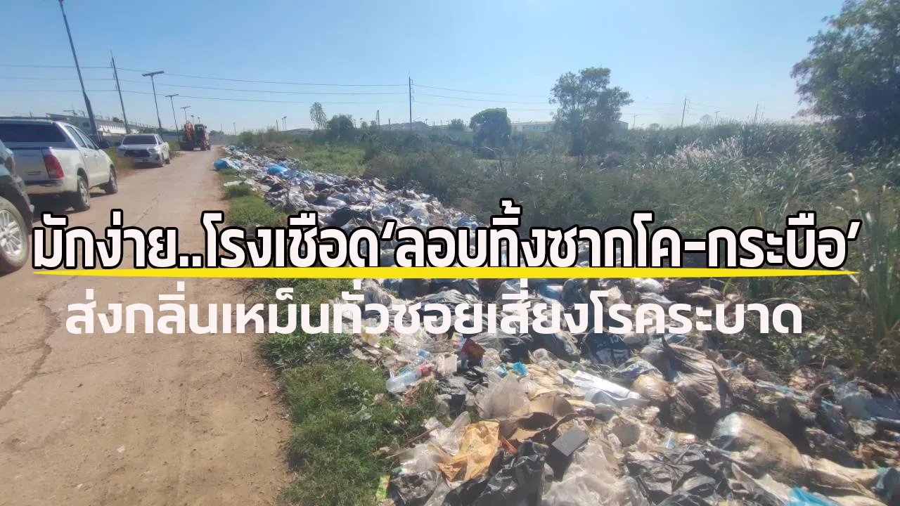 z-z137711907363