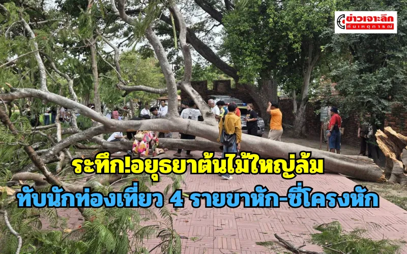 ข่าวเจาะลึก1(1)