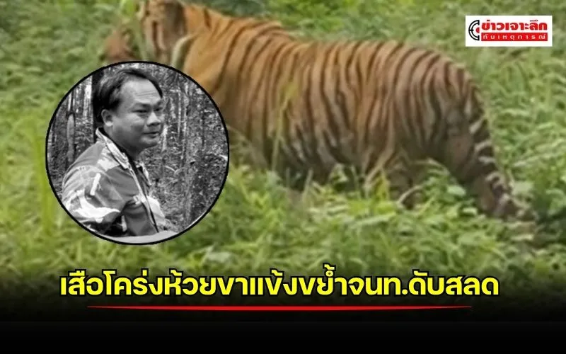 ข่าวเจาะลึก1(11)
