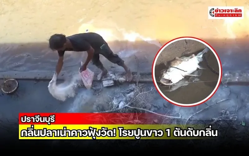 ข่าวเจาะลึก1(16)