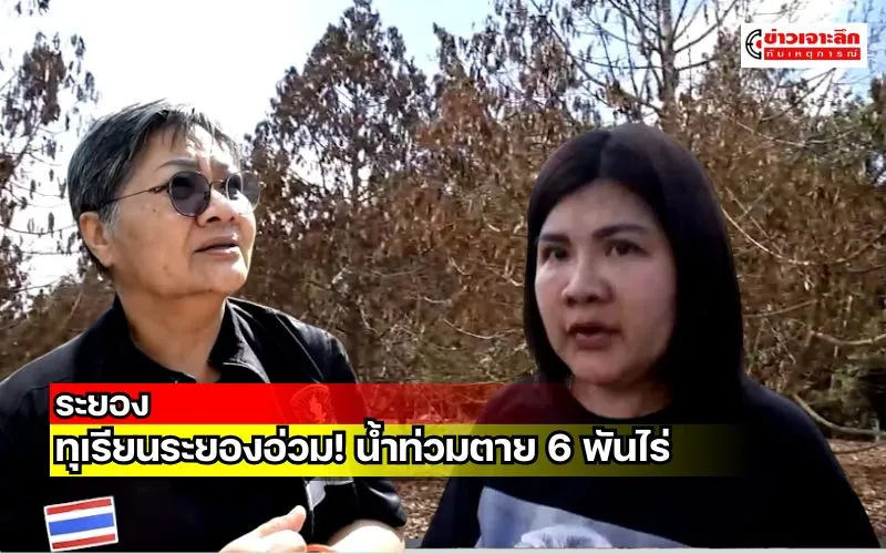 ข่าวเจาะลึก1(19)