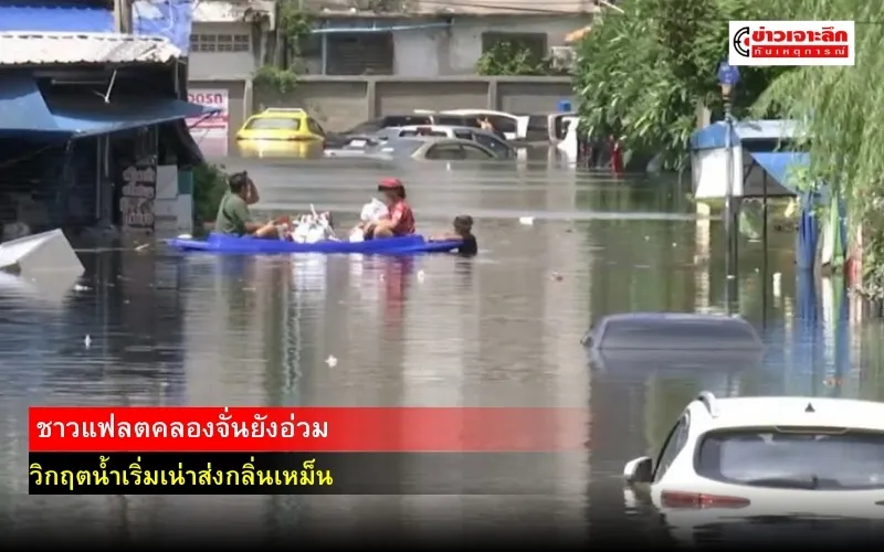 ข่าวเจาะลึก1(2)