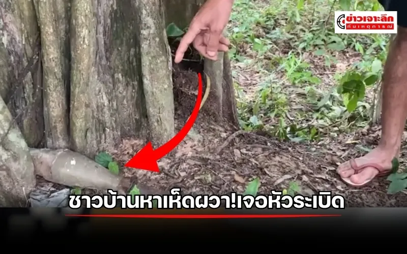 ข่าวเจาะลึก1(3)