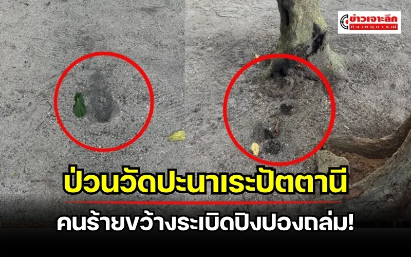 ข่าวเจาะลึก1(34)