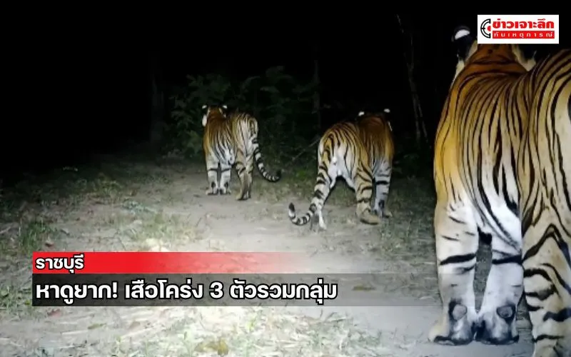 ข่าวเจาะลึก1(6)