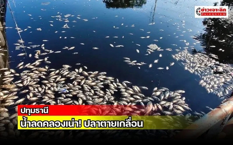 ข่าวเจาะลึก1(7)