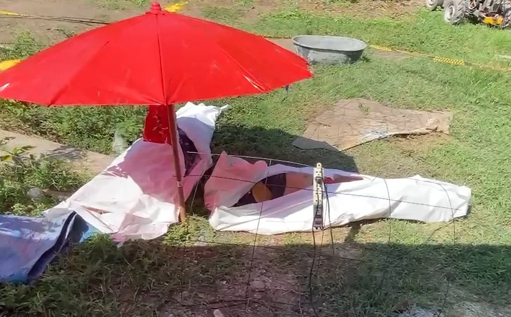 1747548929539