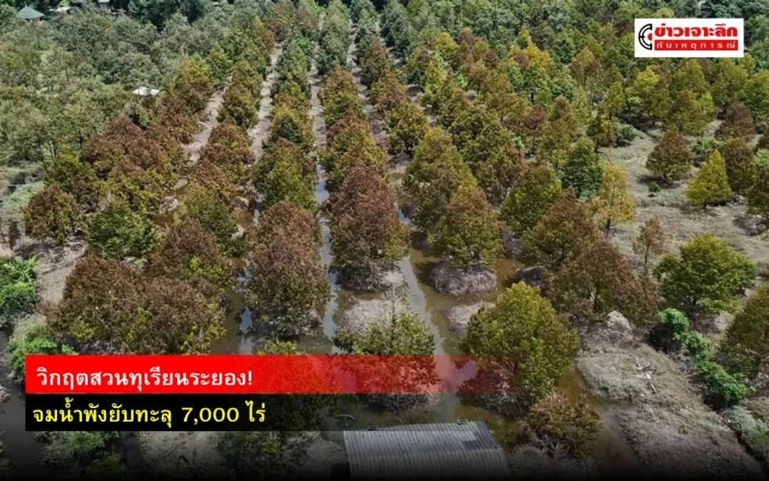 ข่าวเจาะลึก 1 (12)