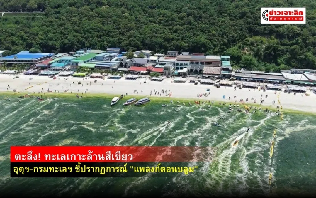 ข่าวเจาะลึก 1