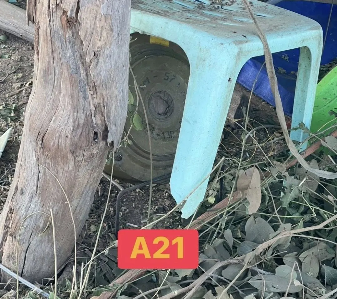 1237263