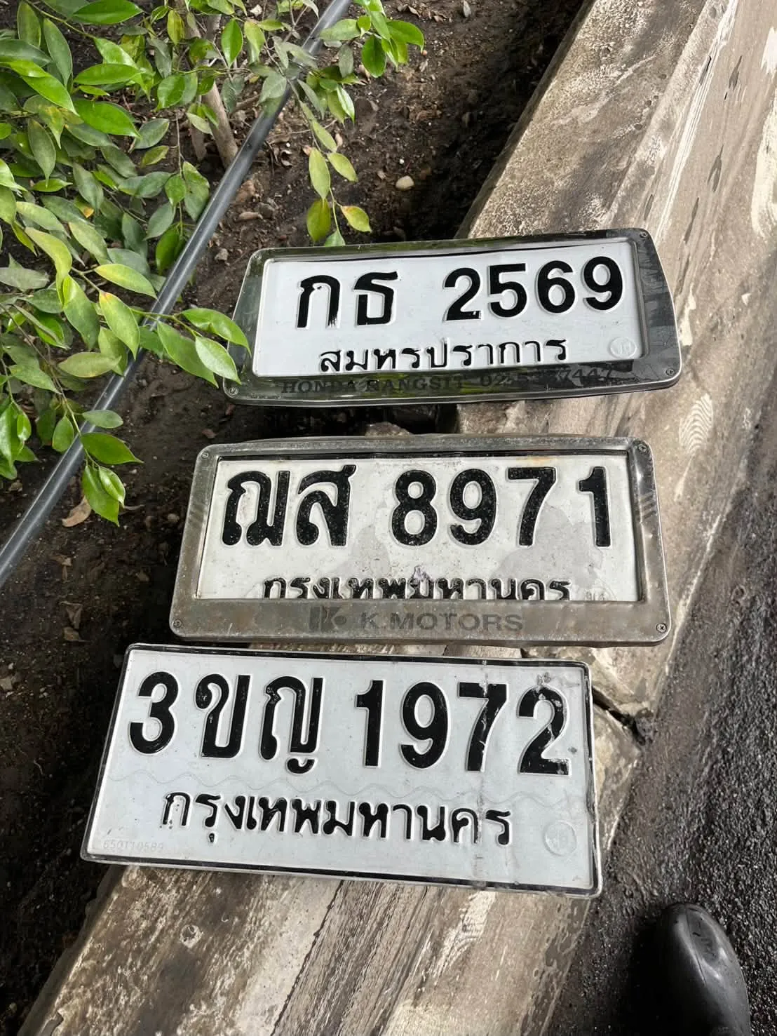 829196264_1504701931689942_6590654103183685904_n